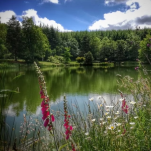 Screenshot 2026-04-27 at 14.09.11