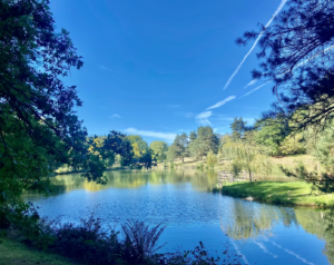 Screenshot 2026-04-27 at 14.09.29